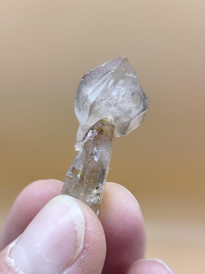 Rauchquarz Zepter Kristall – Natürlicher Scepter Quartz mit transparenter Spitze – 25 mm Kristall Stufe Sammler Unikat Geschenk Heilstein - Art of Nature Berlin