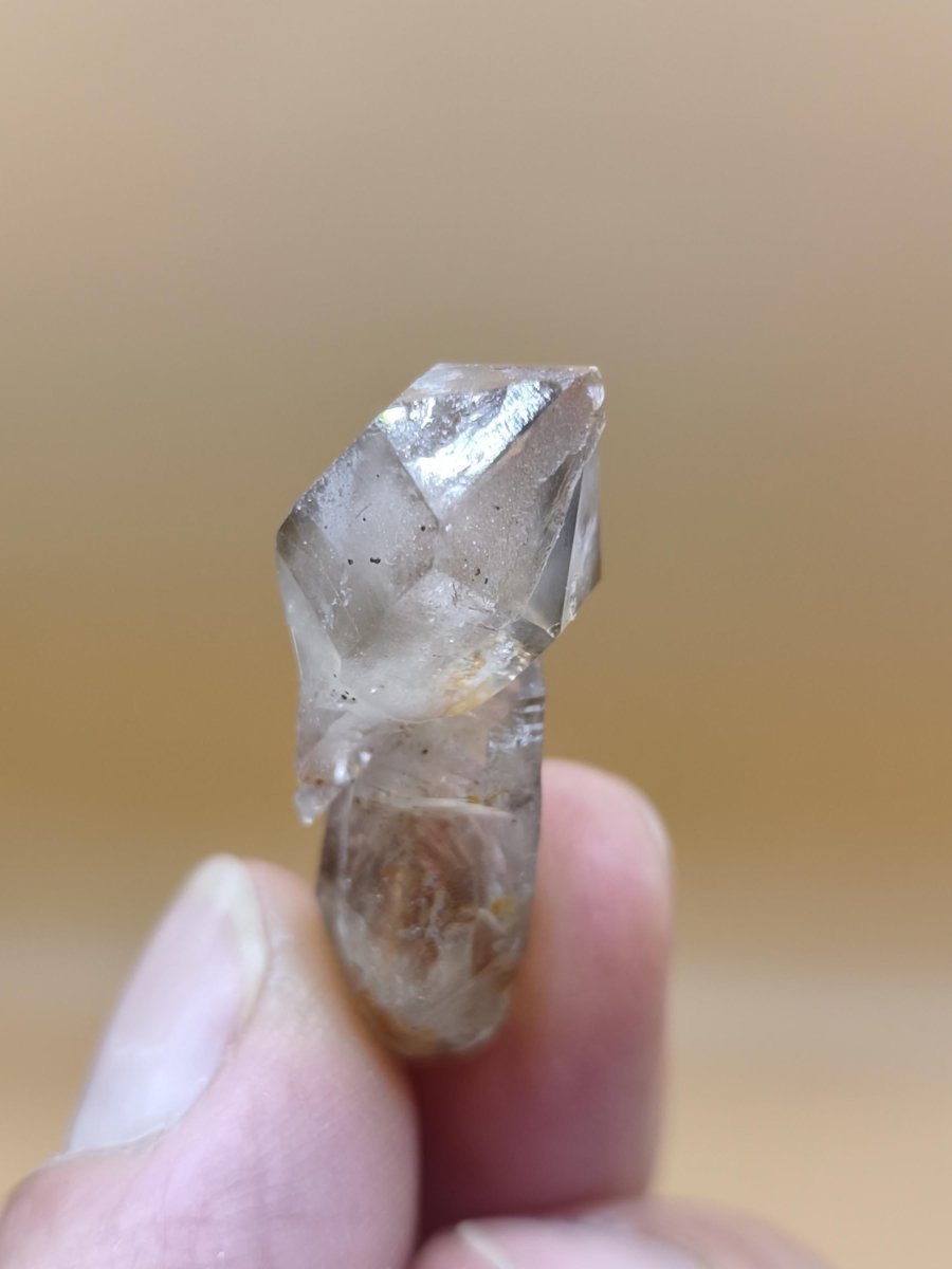 Rauchquarz Zepter Kristall – Natürlicher Scepter Quartz mit transparenter Spitze – 25 mm Kristall Stufe Sammler Unikat Geschenk Heilstein - Art of Nature Berlin