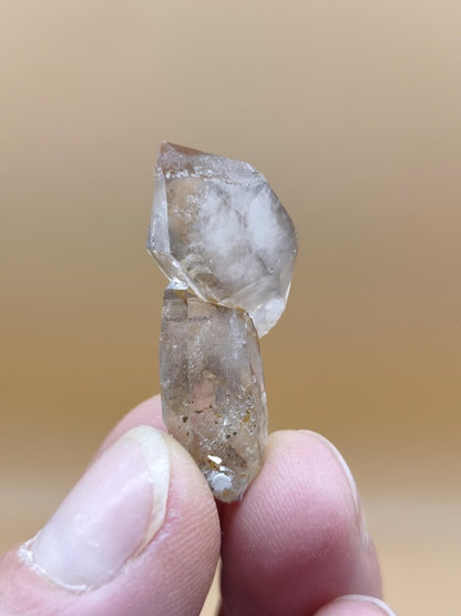 Rauchquarz Zepter Kristall – Natürlicher Scepter Quartz mit transparenter Spitze – 25 mm Kristall Stufe Sammler Unikat Geschenk Heilstein - Art of Nature Berlin