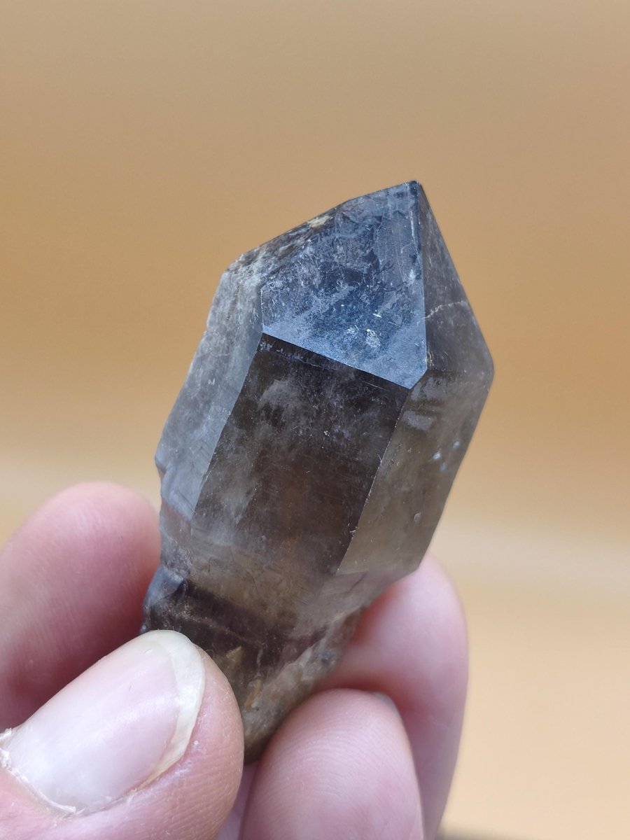 Rauchquarz-Zepterquarz aus Erongo Namibia – klare Wachstumsstrukturen Zepter Kristall Natürlicher Scepter Quartz Stufe Mineralien Sammler - Art of Nature Berlin