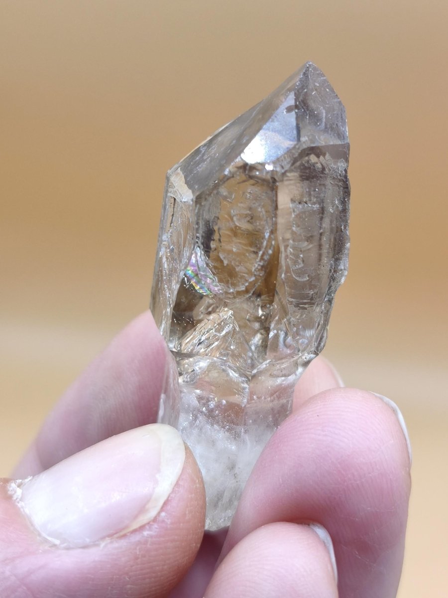 Rauchquarz-Zepterquarz aus Erongo Namibia – klare Wachstumsstrukturen Zepter Kristall Natürlicher Scepter Quartz Stufe Mineralien Sammler - Art of Nature Berlin