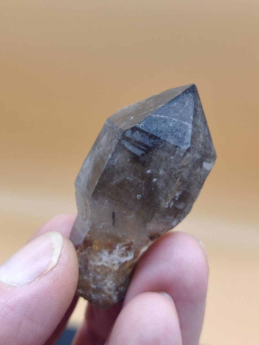 Rauchquarz-Zepterquarz aus Erongo Namibia – klare Wachstumsstrukturen Zepter Kristall Natürlicher Scepter Quartz Stufe Mineralien Sammler - Art of Nature Berlin
