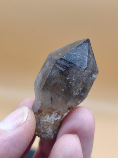 Rauchquarz-Zepterquarz aus Erongo Namibia – klare Wachstumsstrukturen Zepter Kristall Natürlicher Scepter Quartz Stufe Mineralien Sammler - Art of Nature Berlin