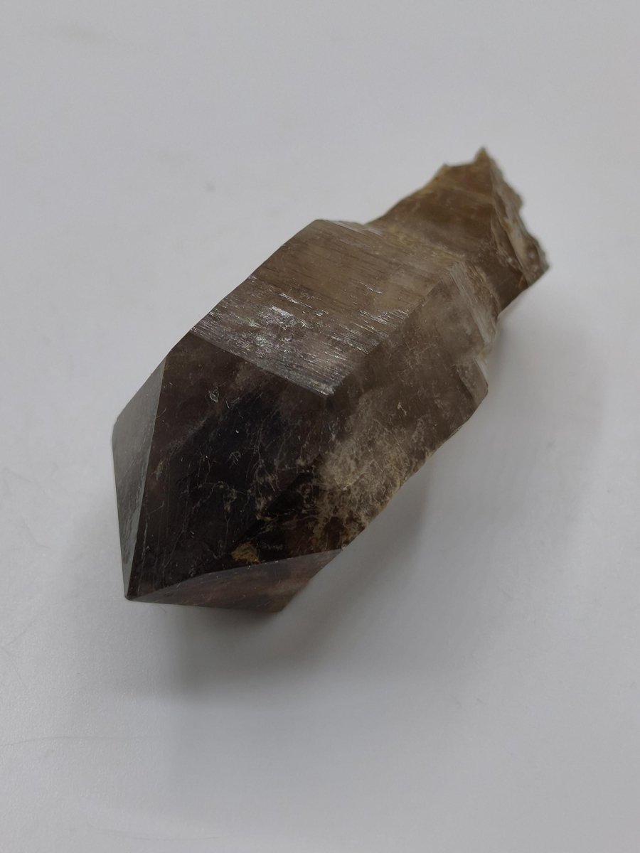 Rauchquarz-Zepterquarz aus Erongo Namibia – klare Wachstumsstrukturen Zepter Kristall Natürlicher Scepter Quartz Stufe Mineralien Sammler - Art of Nature Berlin