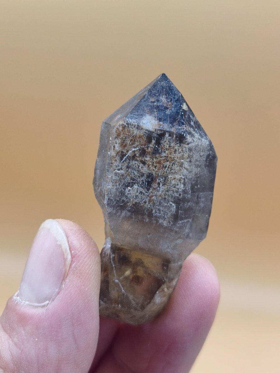 Rauchquarz-Zepterquarz aus Erongo Namibia – klare Wachstumsstrukturen Zepter Kristall Natürlicher Scepter Quartz Stufe Mineralien Sammler - Art of Nature Berlin