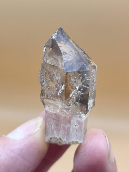 Rauchquarz-Zepterquarz aus Erongo Namibia – klare Wachstumsstrukturen Zepter Kristall Natürlicher Scepter Quartz Stufe Mineralien Sammler - Art of Nature Berlin