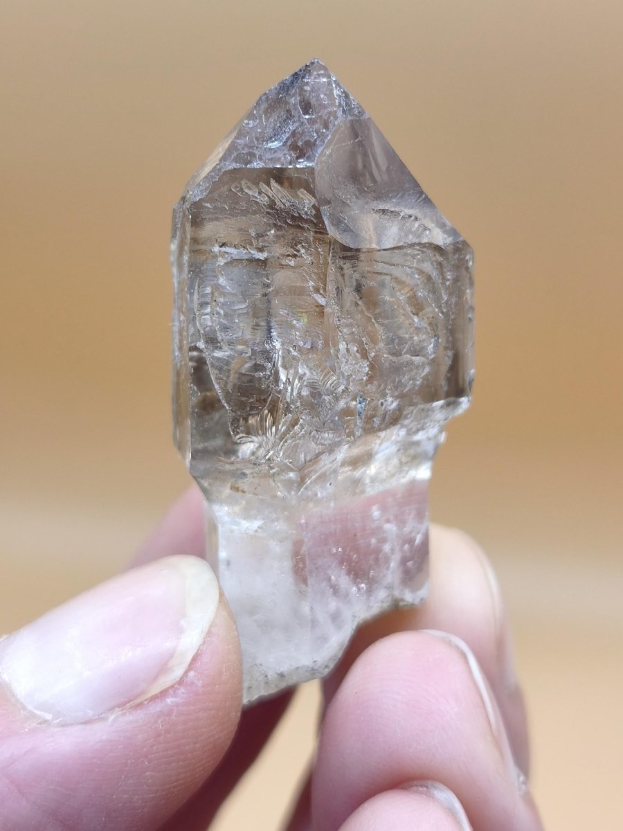 Rauchquarz-Zepterquarz aus Erongo Namibia – klare Wachstumsstrukturen Zepter Kristall Natürlicher Scepter Quartz Stufe Mineralien Sammler - Art of Nature Berlin