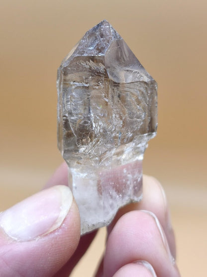 Rauchquarz-Zepterquarz aus Erongo Namibia – klare Wachstumsstrukturen Zepter Kristall Natürlicher Scepter Quartz Stufe Mineralien Sammler - Art of Nature Berlin