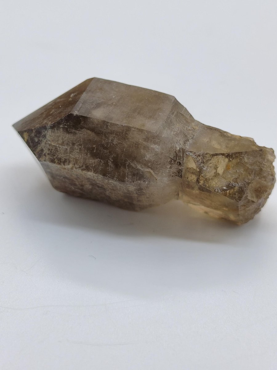 Rauchquarz-Zepterquarz aus Erongo Namibia – klare Wachstumsstrukturen Zepter Kristall Natürlicher Scepter Quartz Stufe Mineralien Sammler - Art of Nature Berlin