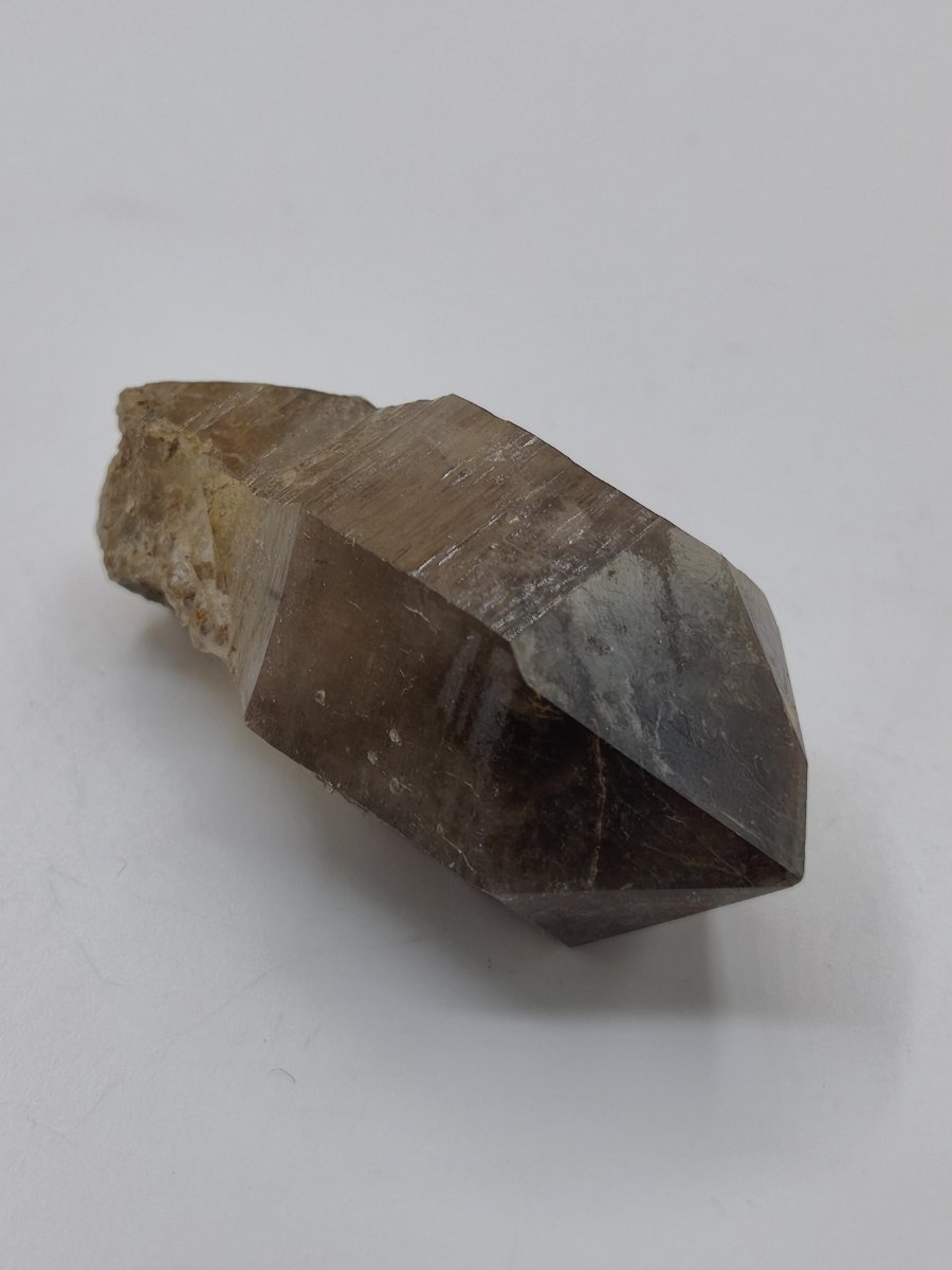 Rauchquarz-Zepterquarz aus Erongo Namibia – klare Wachstumsstrukturen Zepter Kristall Natürlicher Scepter Quartz Stufe Mineralien Sammler - Art of Nature Berlin