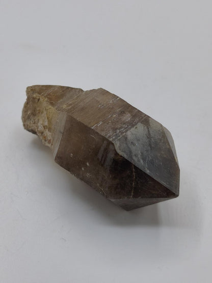 Rauchquarz-Zepterquarz aus Erongo Namibia – klare Wachstumsstrukturen Zepter Kristall Natürlicher Scepter Quartz Stufe Mineralien Sammler - Art of Nature Berlin