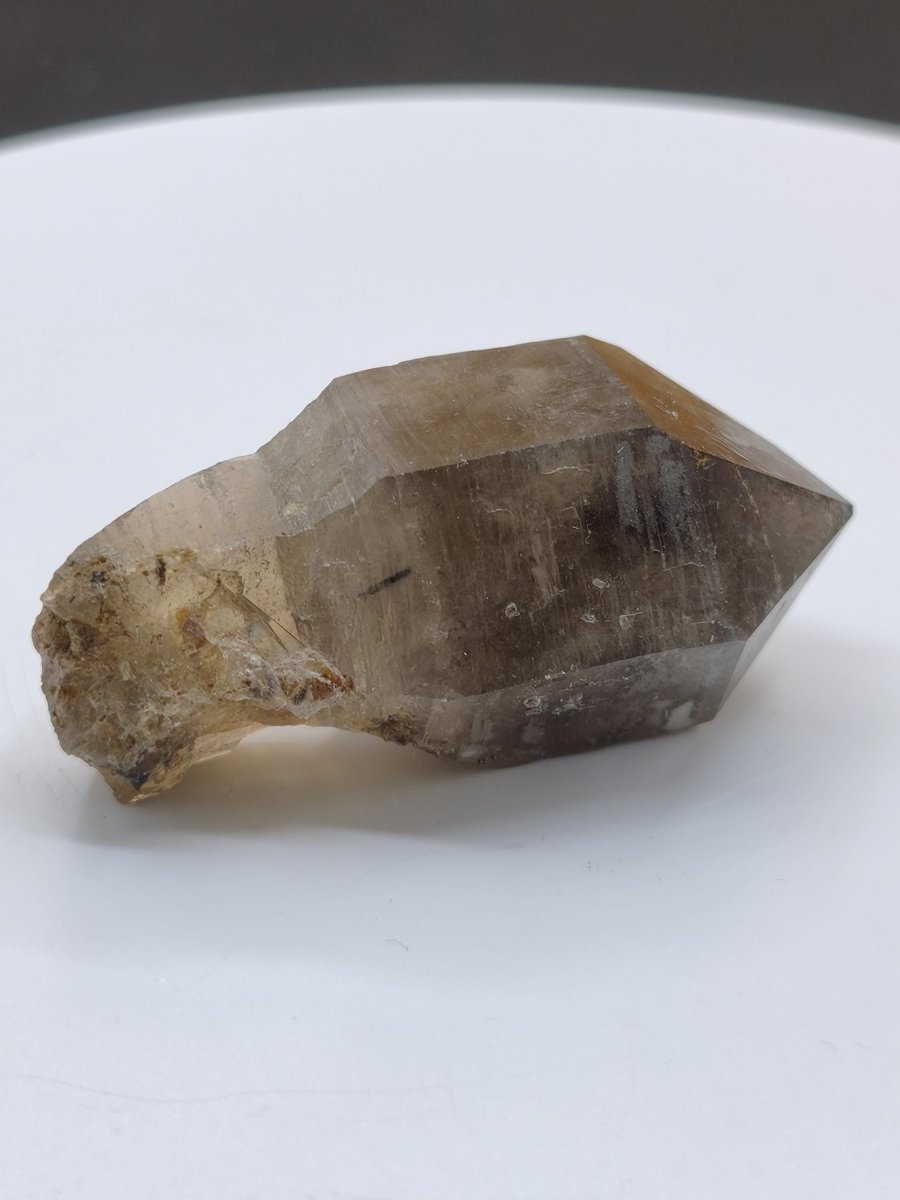 Rauchquarz-Zepterquarz aus Erongo Namibia – klare Wachstumsstrukturen Zepter Kristall Natürlicher Scepter Quartz Stufe Mineralien Sammler - Art of Nature Berlin