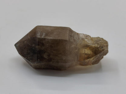 Rauchquarz-Zepterquarz aus Erongo Namibia – klare Wachstumsstrukturen Zepter Kristall Natürlicher Scepter Quartz Stufe Mineralien Sammler - Art of Nature Berlin