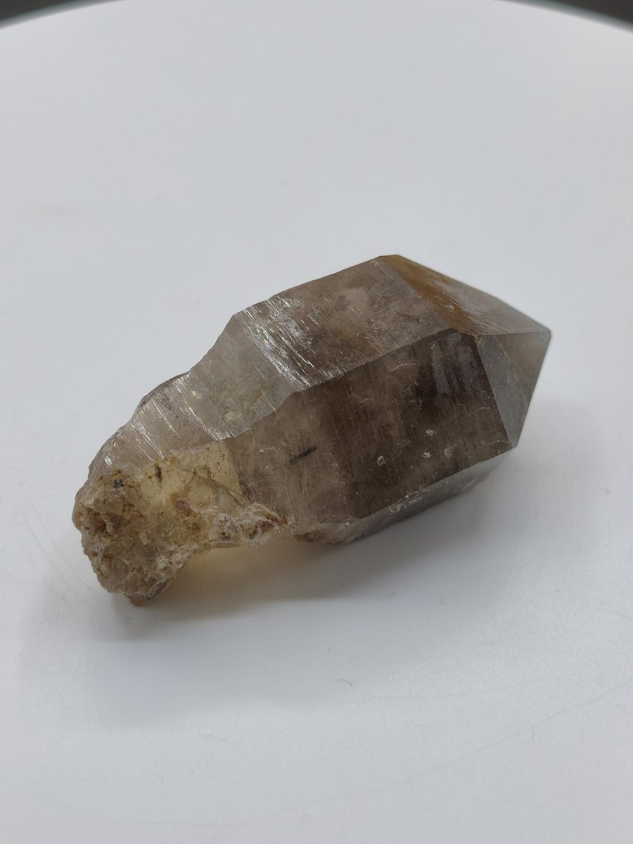 Rauchquarz-Zepterquarz aus Erongo Namibia – klare Wachstumsstrukturen Zepter Kristall Natürlicher Scepter Quartz Stufe Mineralien Sammler - Art of Nature Berlin