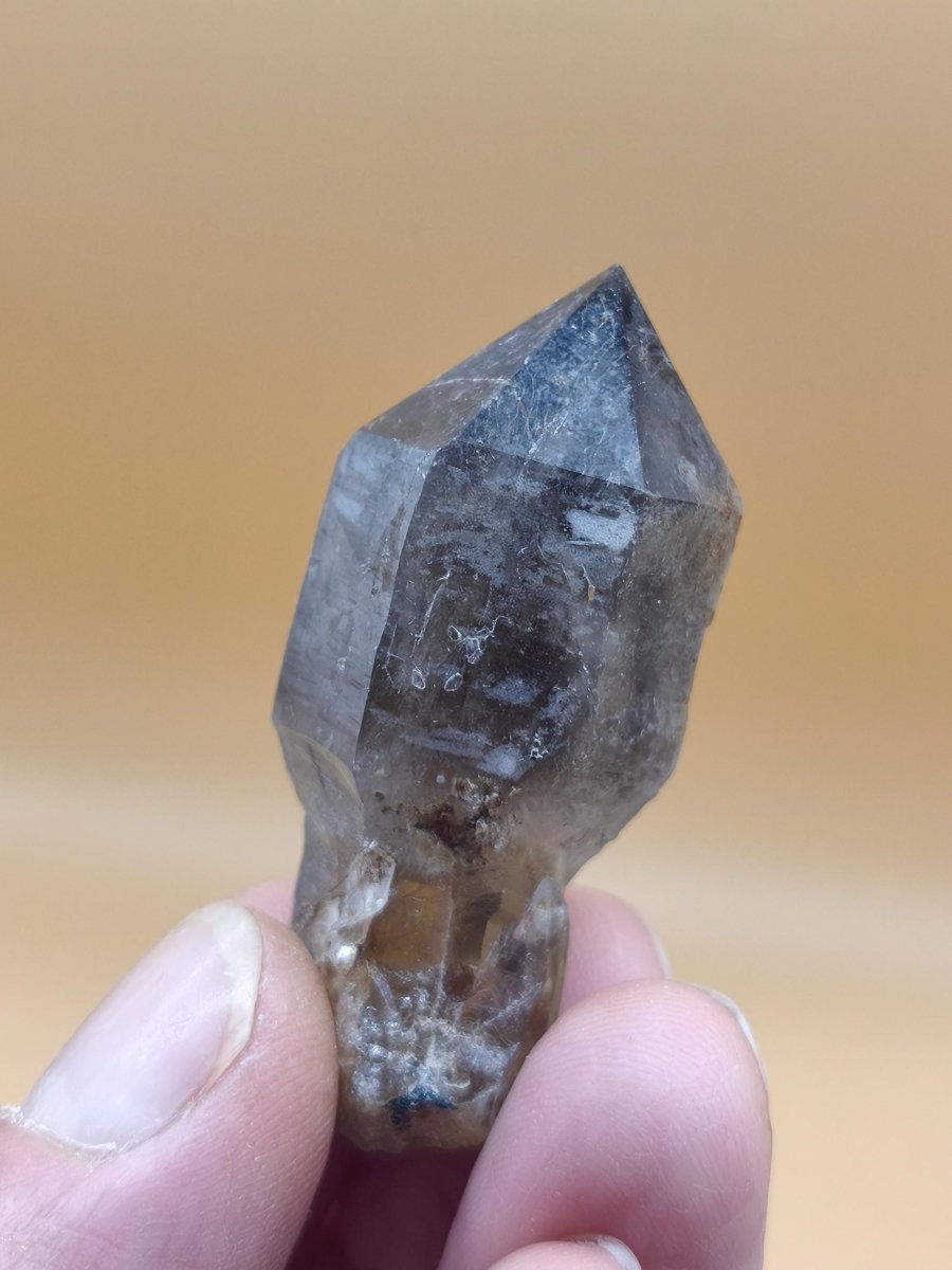 Rauchquarz-Zepterquarz aus Erongo Namibia – klare Wachstumsstrukturen Zepter Kristall Natürlicher Scepter Quartz Stufe Mineralien Sammler - Art of Nature Berlin