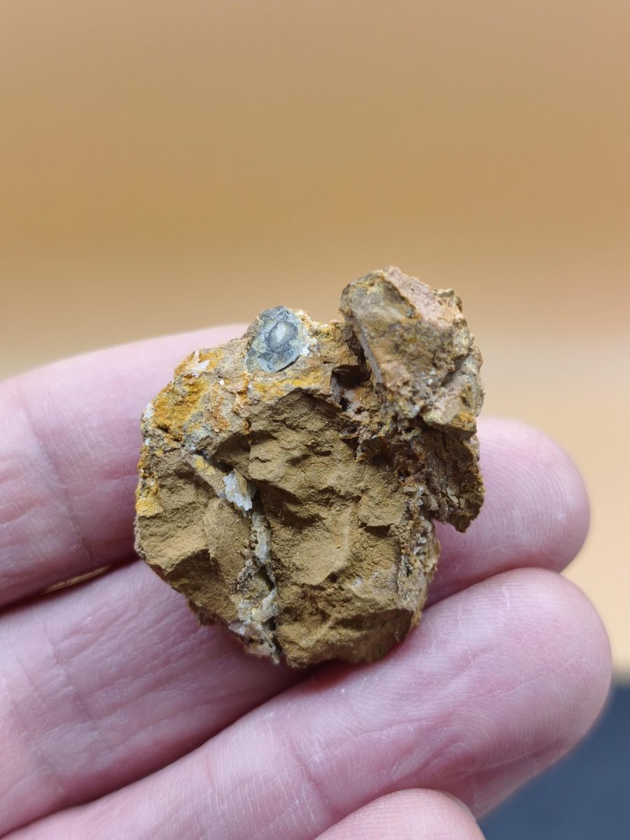 Richellit, Belgien Mineralstufen – 4 Naturunikate zur Auswahl – 32–40 mm Kristall Sammler Stufe Heilstein Edelstein Mineral Selten Unikat - Art of Nature Berlin