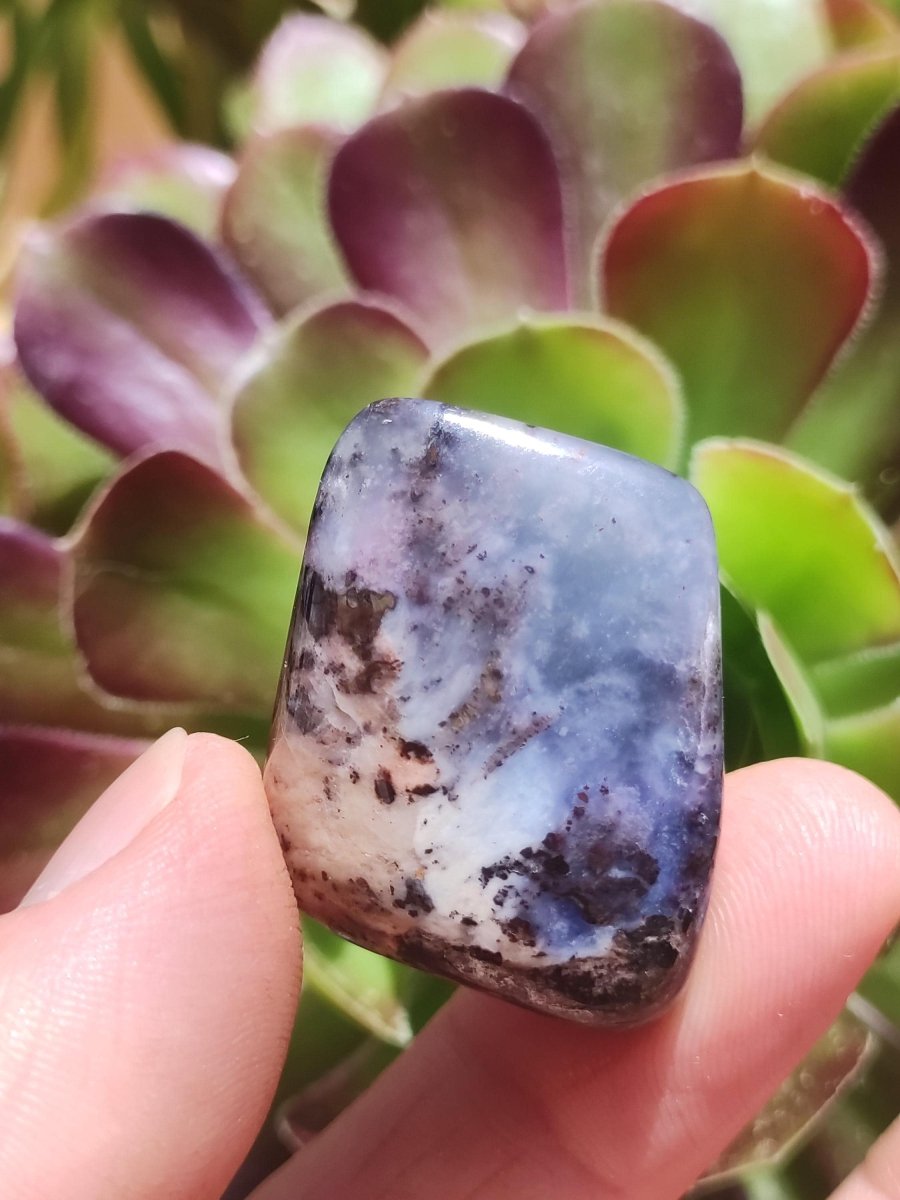 Richterit Sugilith - Sammler Deko Heilstein lila Handschmeichler Rarität Meditation Energie Edelstein Kristall Investition Wertanlage Unikat - Art of Nature Berlin