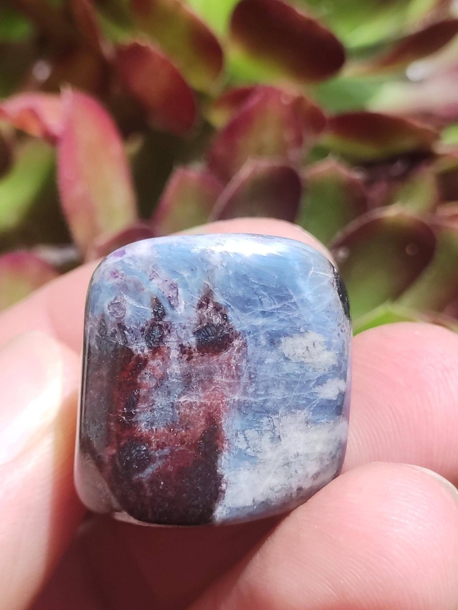 Richterit Sugilith - Sammler Deko Heilstein lila Handschmeichler Rarität Meditation Energie Edelstein Kristall Investition Wertanlage Unikat - Art of Nature Berlin