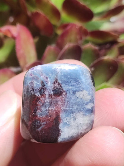 Richterit Sugilith - Sammler Deko Heilstein lila Handschmeichler Rarität Meditation Energie Edelstein Kristall Investition Wertanlage Unikat - Art of Nature Berlin