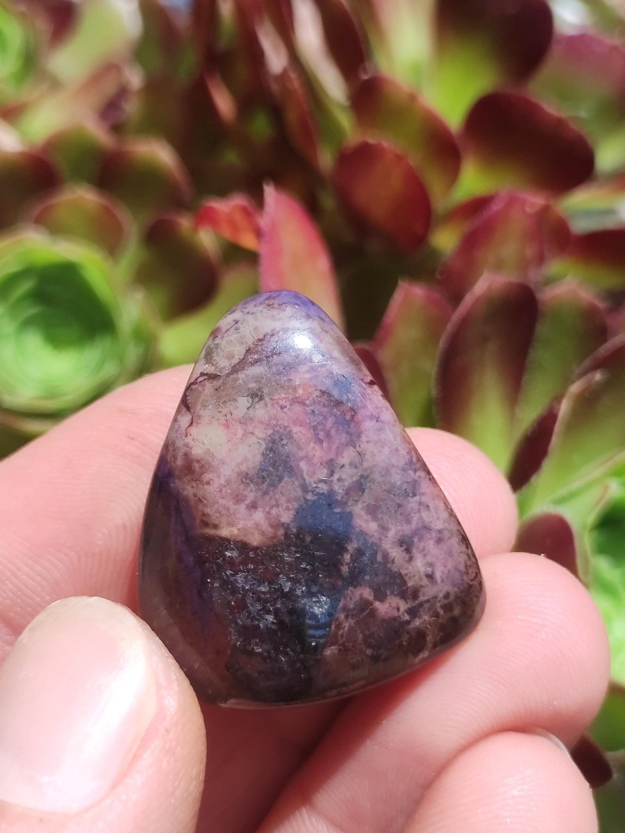 Richterit Sugilith - Sammler Deko Heilstein lila Handschmeichler Rarität Meditation Energie Edelstein Kristall Investition Wertanlage Unikat - Art of Nature Berlin