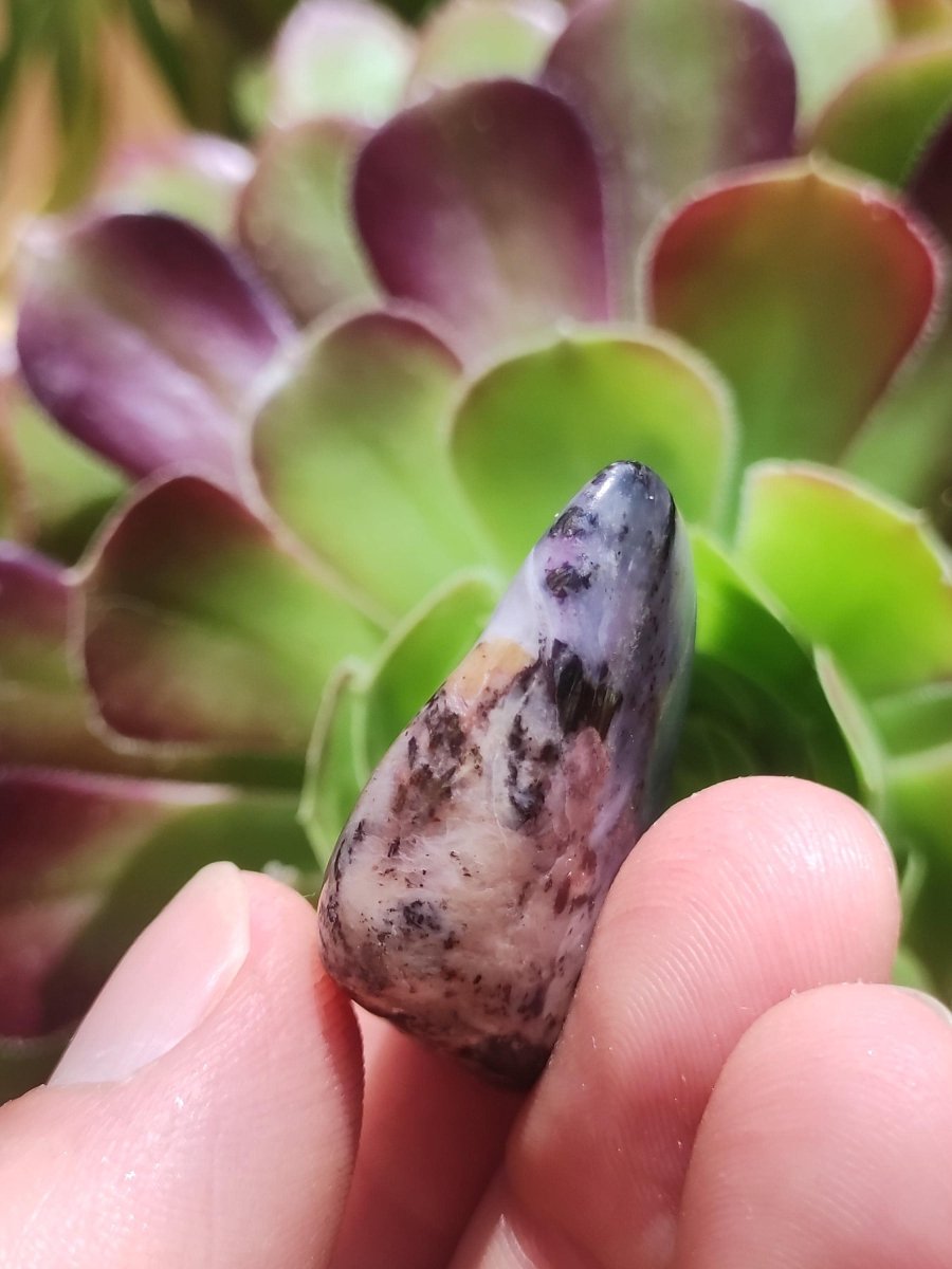 Richterit Sugilith - Sammler Deko Heilstein lila Handschmeichler Rarität Meditation Energie Edelstein Kristall Investition Wertanlage Unikat - Art of Nature Berlin