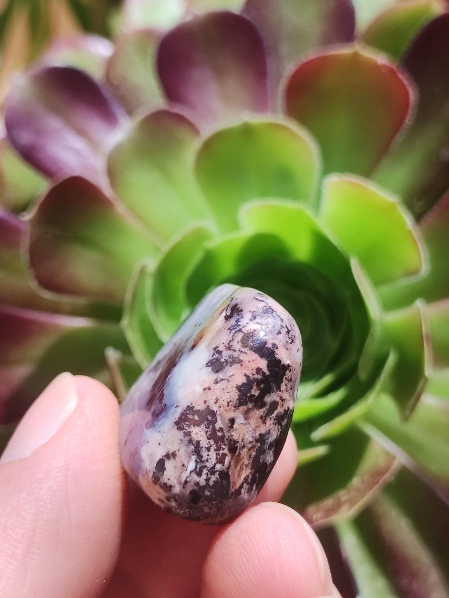 Richterit Sugilith - Sammler Deko Heilstein lila Handschmeichler Rarität Meditation Energie Edelstein Kristall Investition Wertanlage Unikat - Art of Nature Berlin