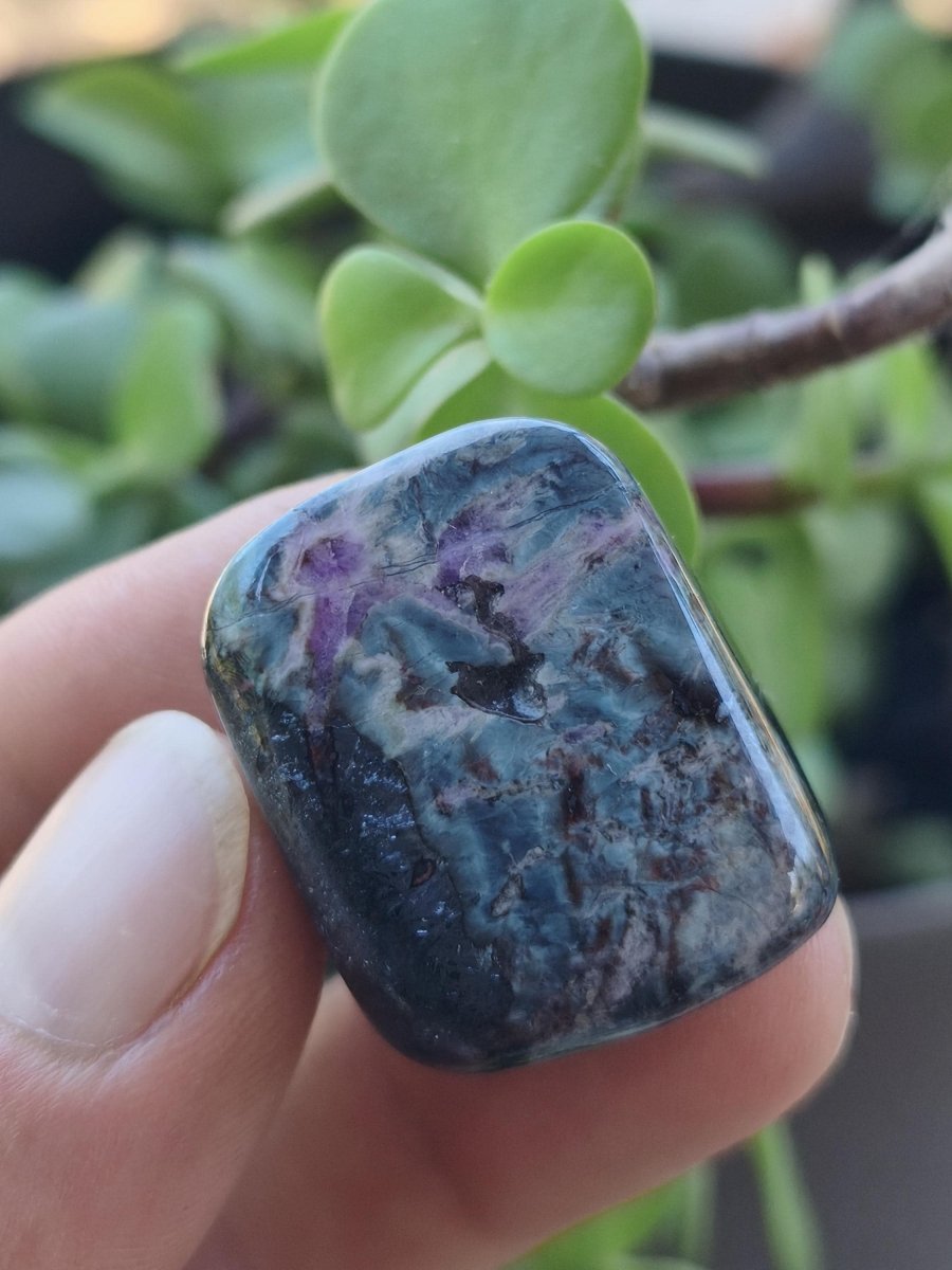Richterit Sugilith - Sammler Deko Heilstein lila Handschmeichler Rarität Meditation Energie Edelstein Kristall Investition Wertanlage Unikat - Art of Nature Berlin