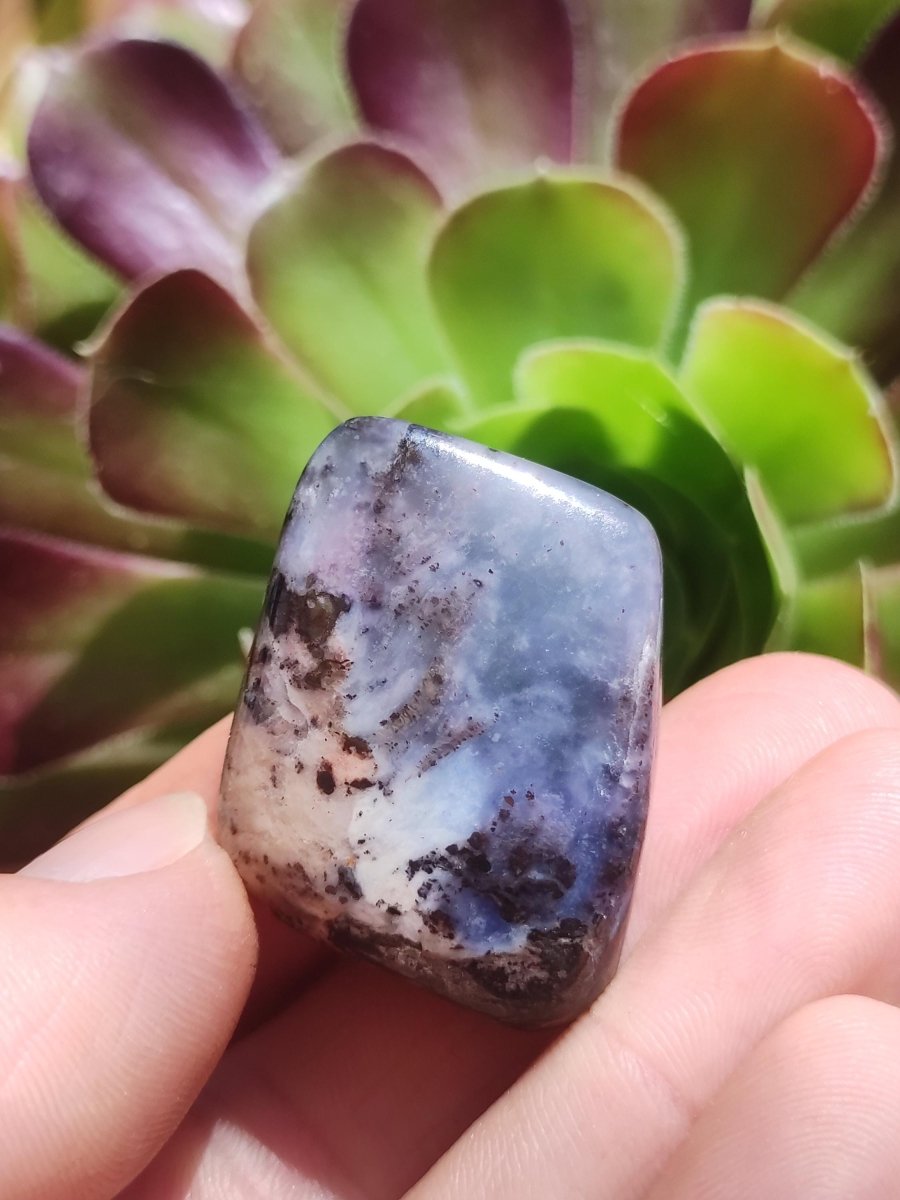 Richterit Sugilith - Sammler Deko Heilstein lila Handschmeichler Rarität Meditation Energie Edelstein Kristall Investition Wertanlage Unikat - Art of Nature Berlin