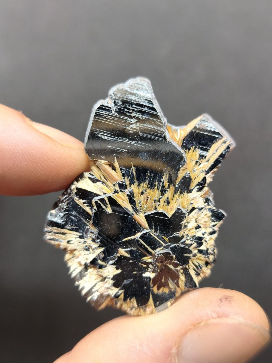 Rutil Hämatit Kristall Stufe 42 mm Brasilien AAA | Goldene Rutilsterne auf schwarzem Hämatit | Natürliche Edelsteine Sammler Mineralien Deko - Art of Nature Berlin