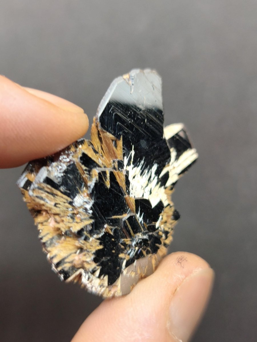 Rutil Hämatit Kristall Stufe 42 mm Brasilien AAA | Goldene Rutilsterne auf schwarzem Hämatit | Natürliche Edelsteine Sammler Mineralien Deko - Art of Nature Berlin