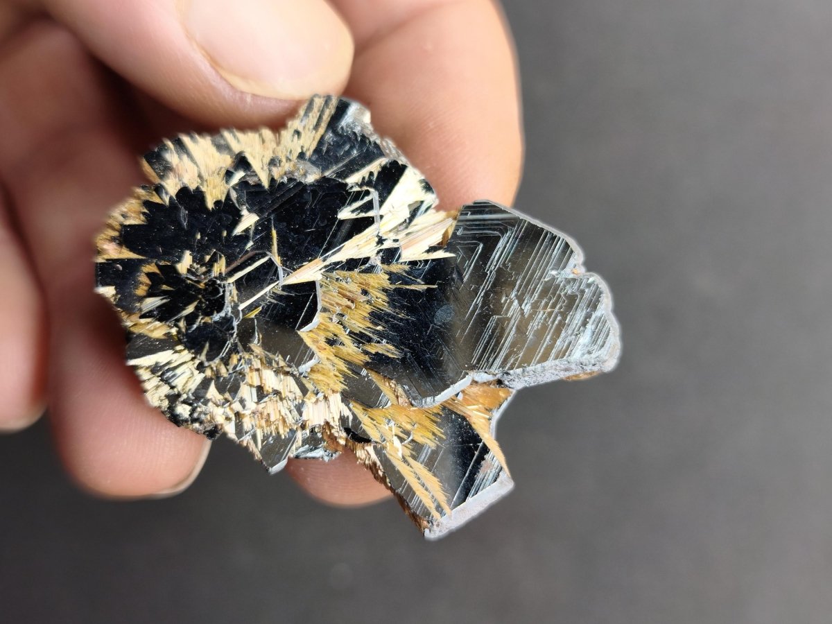 Rutil Hämatit Kristall Stufe 42 mm Brasilien AAA | Goldene Rutilsterne auf schwarzem Hämatit | Natürliche Edelsteine Sammler Mineralien Deko - Art of Nature Berlin