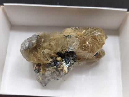 Rutilquarz gold roh Sammler Stufe Kristall Rarität ~ Edelstein Deko Heilstein Mineral Kollektion Energie Natur besonders Geschenk - Art of Nature Berlin