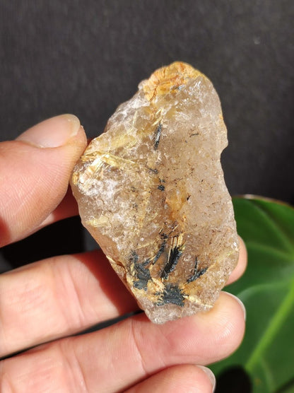 Rutilquarz gold roh Sammler Stufe Rarität ~ Magische Edelstein Deko Kristall Heilstein Mineral Kollektion Energie Natur Meditation HIPPIE - Art of Nature Berlin