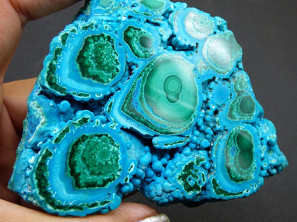 Sammlerstück Chrysocoll Malachit botryoidal Scheibe Dekostück AAA Edelstein Natur Heilstein Unikat blau grün Mineral Museumqualität Traum - Art of Nature Berlin