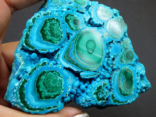 Sammlerstück Chrysocoll Malachit botryoidal Scheibe Dekostück AAA Edelstein Natur Heilstein Unikat blau grün Mineral Museumqualität Traum - Art of Nature Berlin