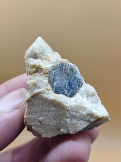 Saphir Kristallstufe aus Tansania – Blaugrauer Rohsaphir auf Muttergestein Edelstein Sammlermineral Kristalle Geschenk Unikat Selten - Art of Nature Berlin