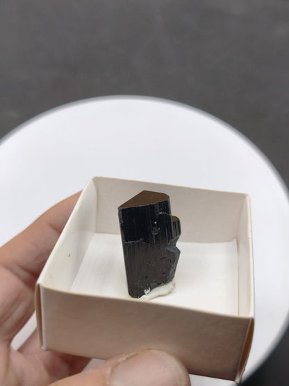 Schwarze Turmalin (Schörl) A Qualität Stufe roh Kristall Sammler Deko Geschenk Mann Frau Heilsteine - Art of Nature Berlin