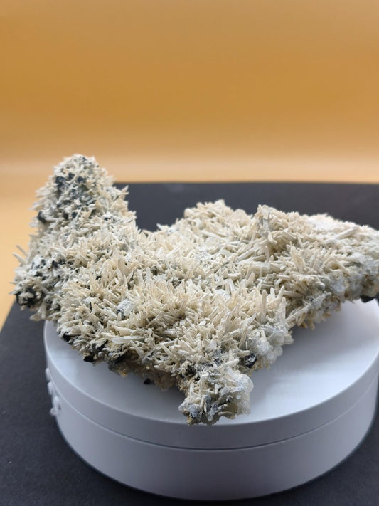 schwarze Zinkblende mit Bergkristall & Quarz Madan Bulgarien – 593 g – 150 mm – außergewöhnliche Sammler Stufe Kristall Sammler Mineralien - Art of Nature Berlin