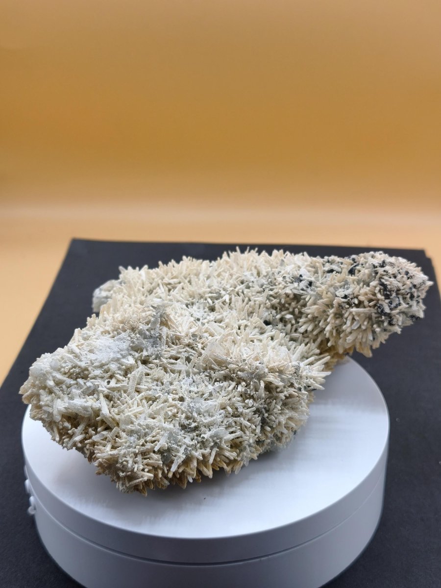 schwarze Zinkblende mit Bergkristall & Quarz Madan Bulgarien – 593 g – 150 mm – außergewöhnliche Sammler Stufe Kristall Sammler Mineralien - Art of Nature Berlin