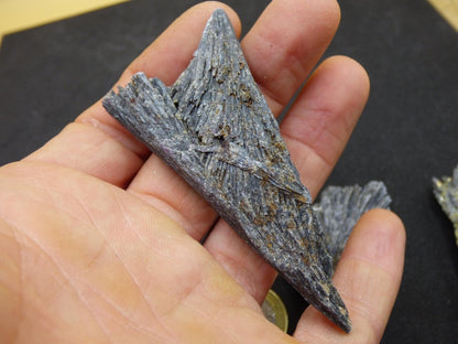 schwarzer Cyanit Kyanit Fächercyanit Sammler roh Stufen Rarität Edelstein Deko Kristall Heilstein Mineral Energie Natur Meditation Geschenk - Art of Nature Berlin