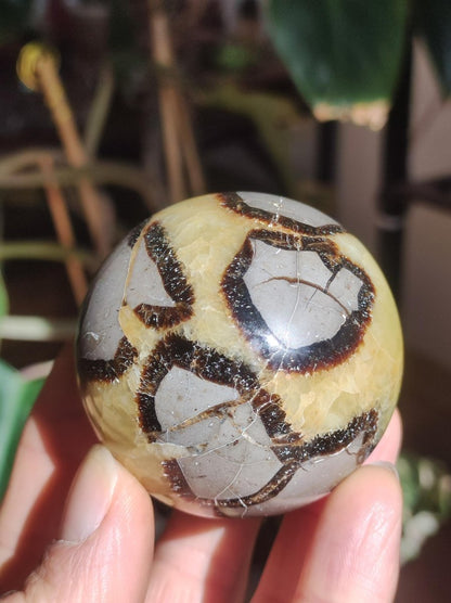 Septarie ~ Magische Edelstein Kugel Massage & Deko Sphere Crystal Spielkugel Meditation ~HIPPIE ~GOA~Boho~Ethno~Heilstein - Art of Nature Berlin