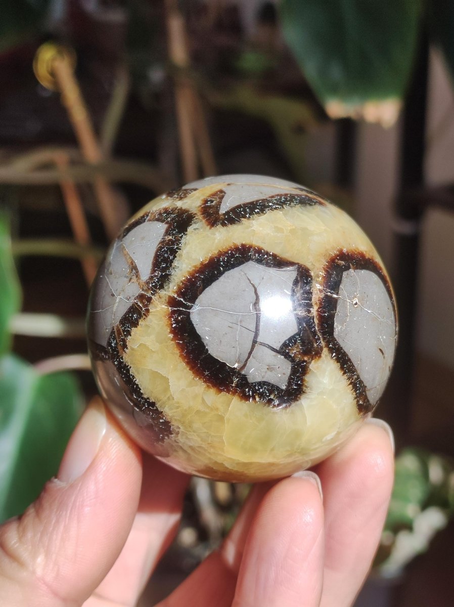 Septarie ~ Magische Edelstein Kugel Massage & Deko Sphere Crystal Spielkugel Meditation ~HIPPIE ~GOA~Boho~Ethno~Heilstein - Art of Nature Berlin
