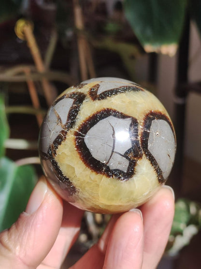 Septarie ~ Magische Edelstein Kugel Massage & Deko Sphere Crystal Spielkugel Meditation ~HIPPIE ~GOA~Boho~Ethno~Heilstein - Art of Nature Berlin