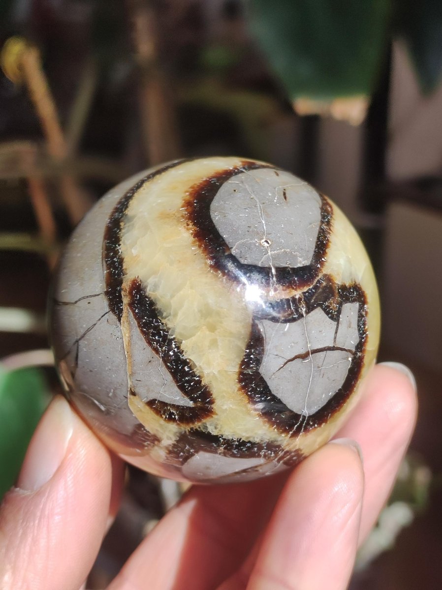 Septarie ~ Magische Edelstein Kugel Massage & Deko Sphere Crystal Spielkugel Meditation ~HIPPIE ~GOA~Boho~Ethno~Heilstein - Art of Nature Berlin