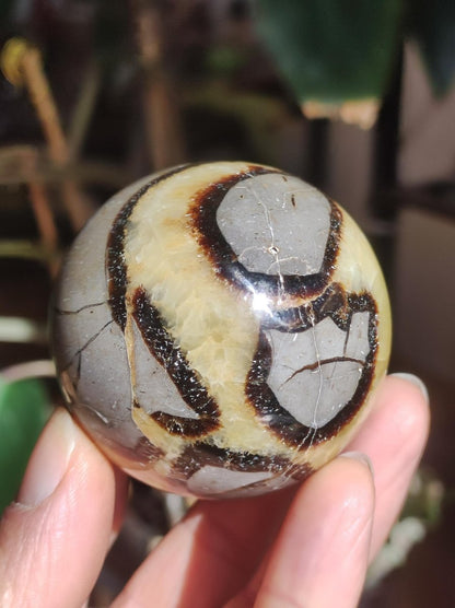 Septarie ~ Magische Edelstein Kugel Massage & Deko Sphere Crystal Spielkugel Meditation ~HIPPIE ~GOA~Boho~Ethno~Heilstein - Art of Nature Berlin