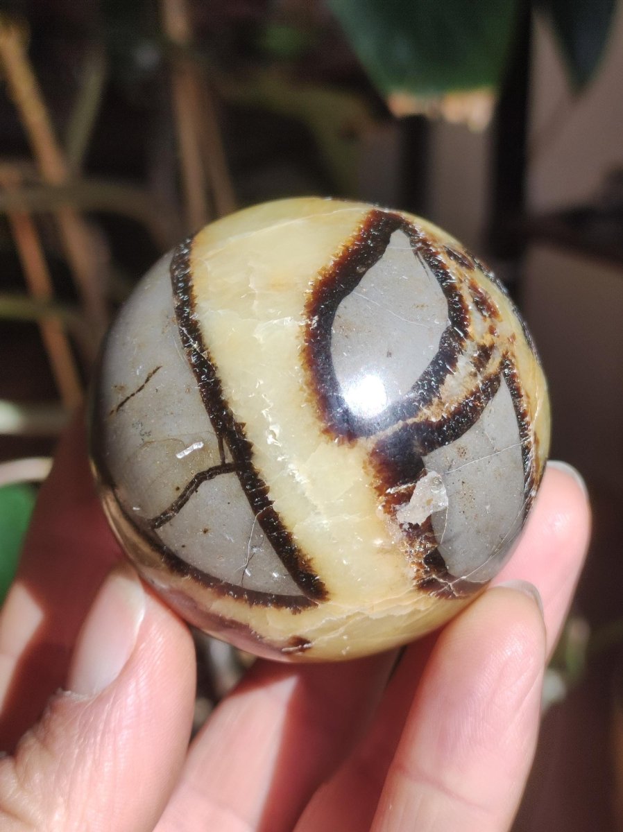 Septarie ~ Magische Edelstein Kugel Massage & Deko Sphere Crystal Spielkugel Meditation ~HIPPIE ~GOA~Boho~Ethno~Heilstein - Art of Nature Berlin