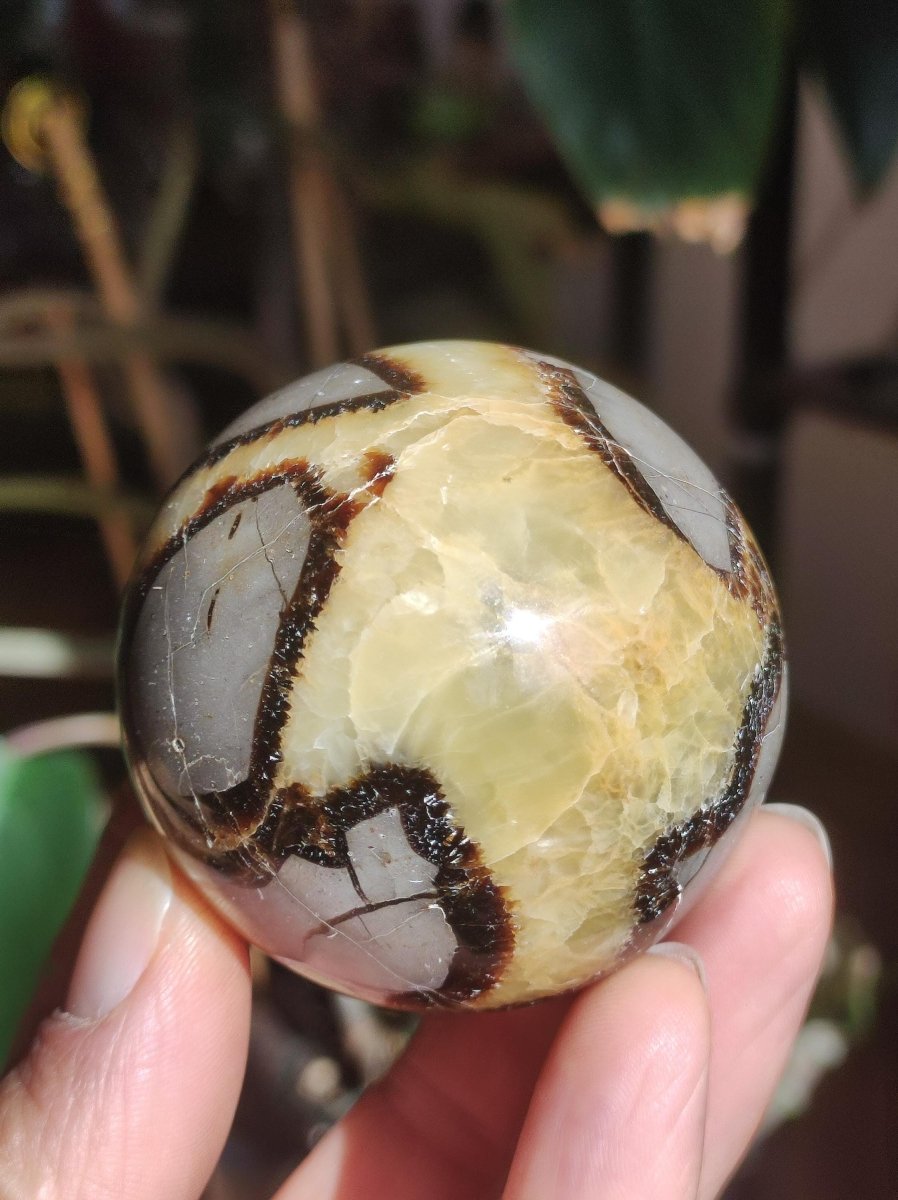 Septarie ~ Magische Edelstein Kugel Massage & Deko Sphere Crystal Spielkugel Meditation ~HIPPIE ~GOA~Boho~Ethno~Heilstein - Art of Nature Berlin