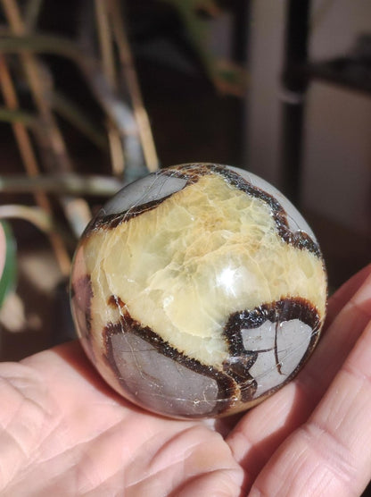 Septarie ~ Magische Edelstein Kugel Massage & Deko Sphere Crystal Spielkugel Meditation ~HIPPIE ~GOA~Boho~Ethno~Heilstein - Art of Nature Berlin