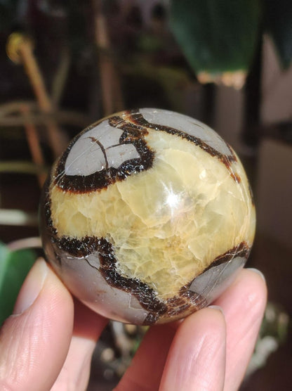 Septarie ~ Magische Edelstein Kugel Massage & Deko Sphere Crystal Spielkugel Meditation ~HIPPIE ~GOA~Boho~Ethno~Heilstein - Art of Nature Berlin