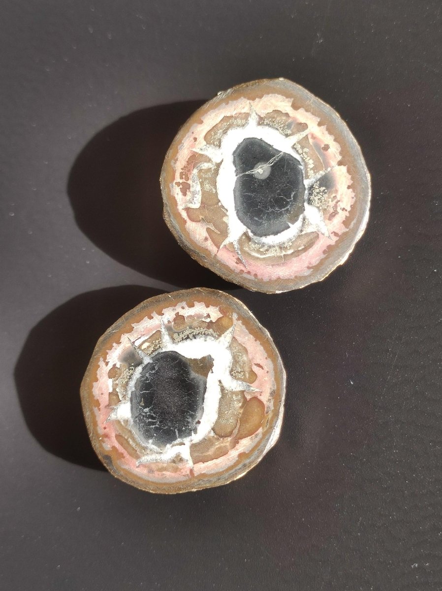 Septarie / Septischer Knoten - Edelstein Roh schwarz braun Nuss Deko Sammler Marokko Geschenk Kristall Heilstein Er Sie Freundin Unikat - Art of Nature Berlin